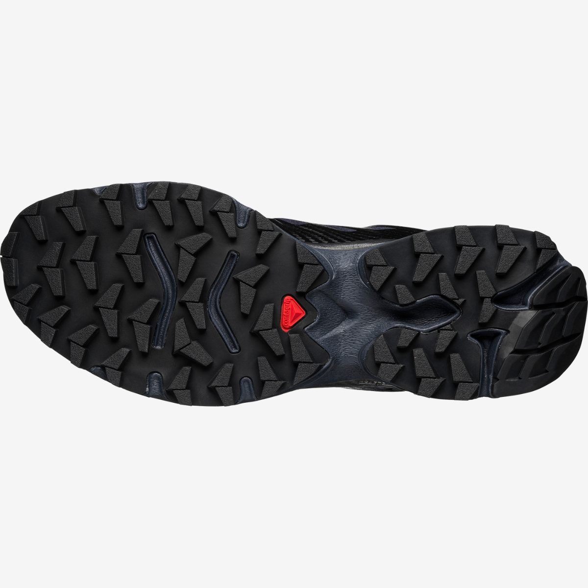 #Color_Negro