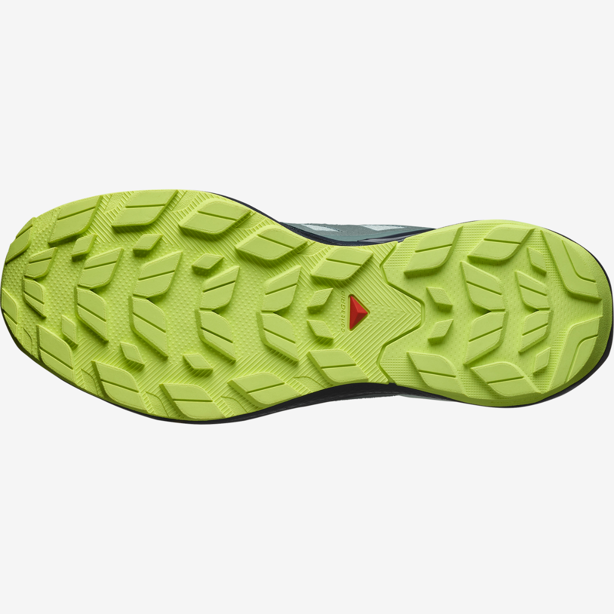 #Color_Plomo/Verde