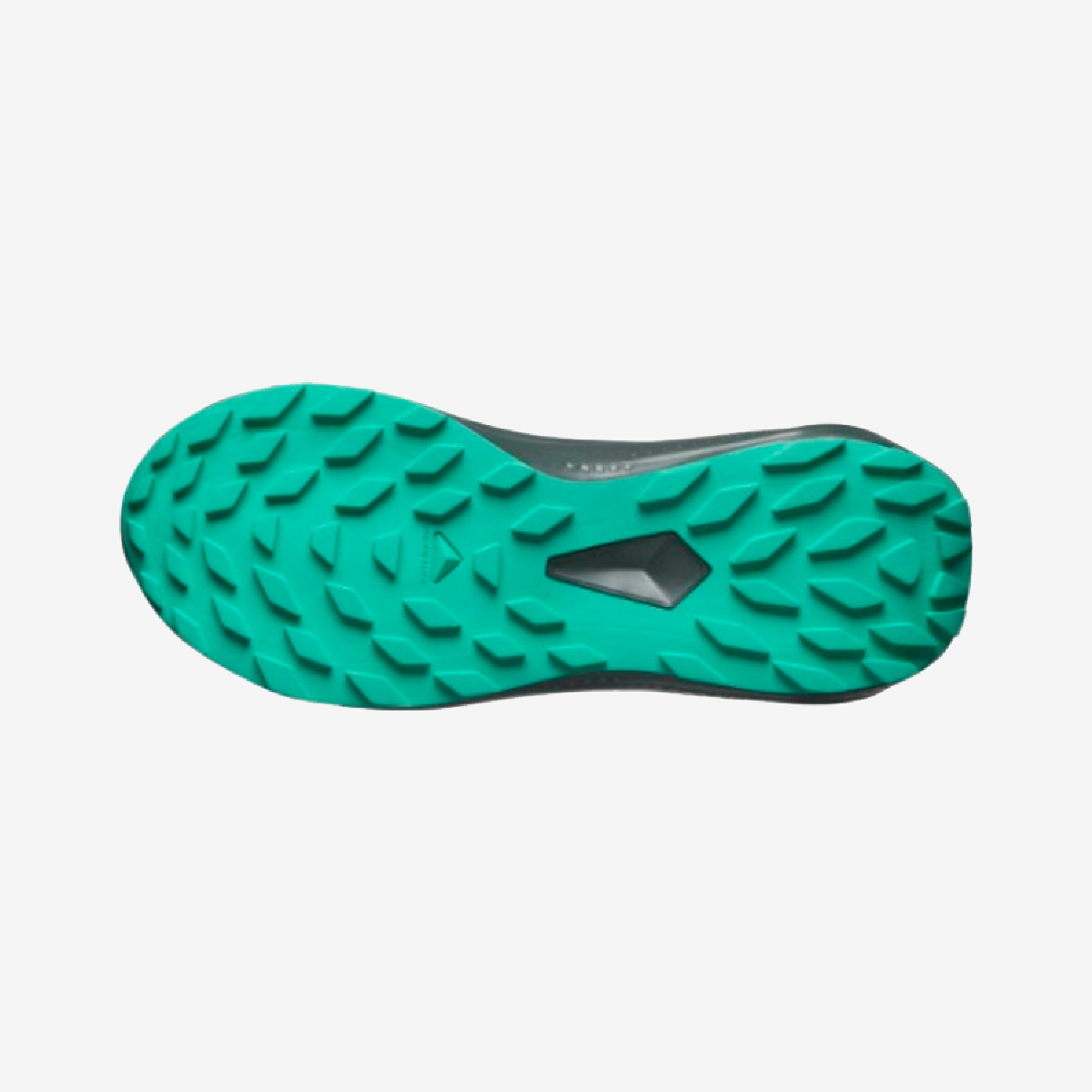 #Color_Negro/Verde