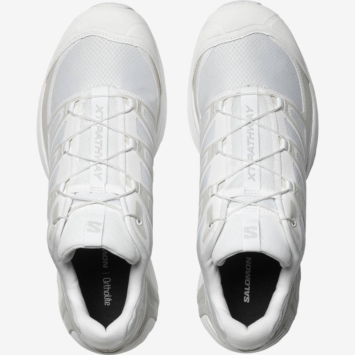 #Color_Blanco
