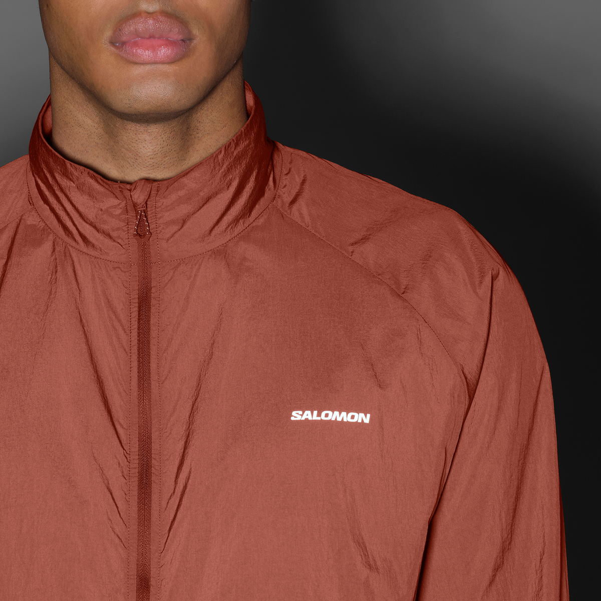 #Color_Marron