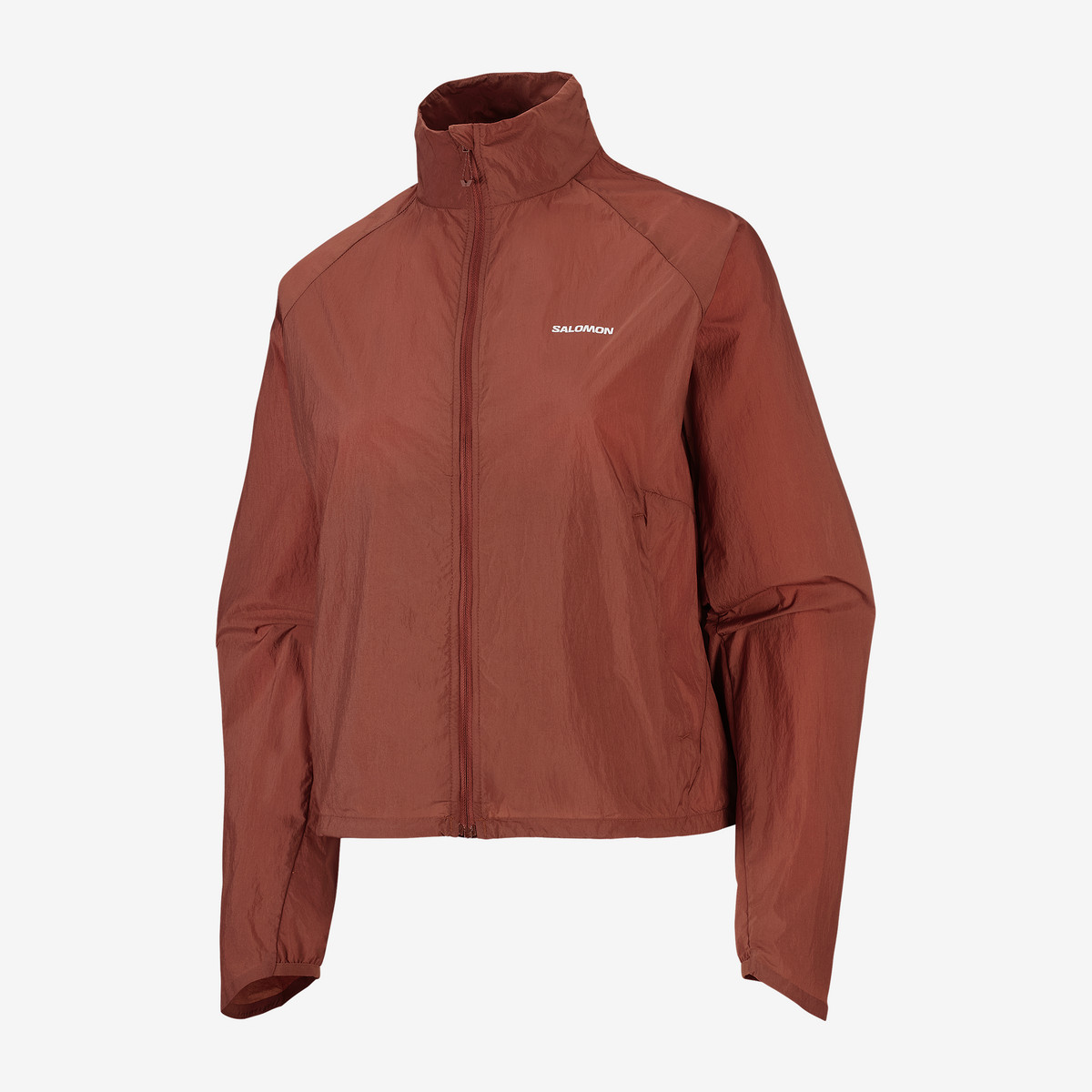 #Color_Marron