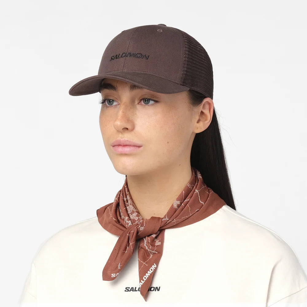 #Color_Marron