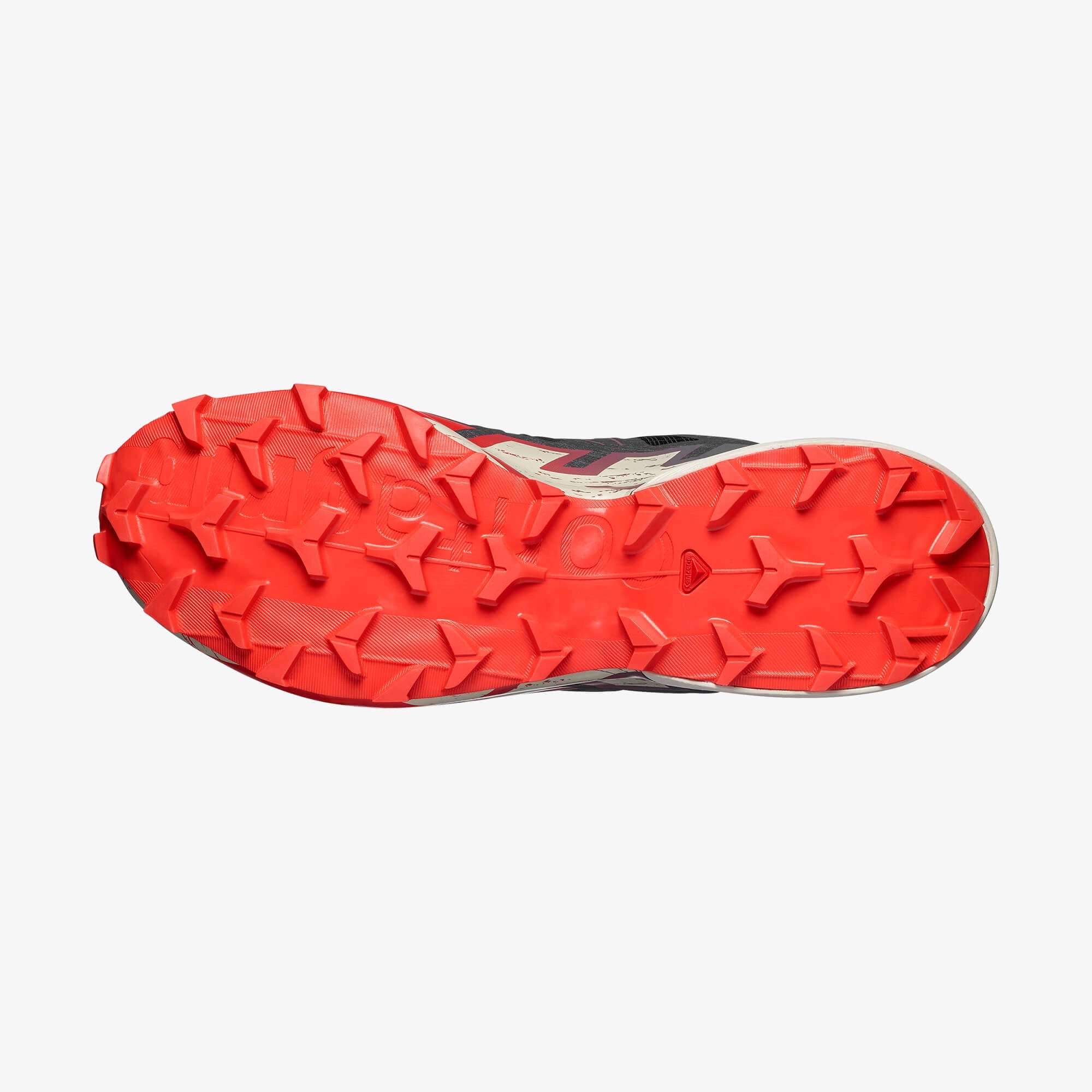 #Color_Rojo
